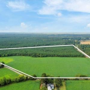 Entire 73+ acres. Lot lines are approximate