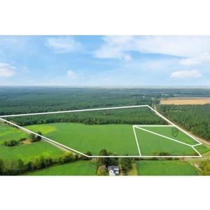 Photo #2 of 5+AC Ivor Road, Ivor, Virginia 5.9 acres