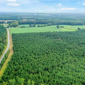 Photo #11 of 5+AC Ivor Road, Ivor, Virginia 5.9 acres