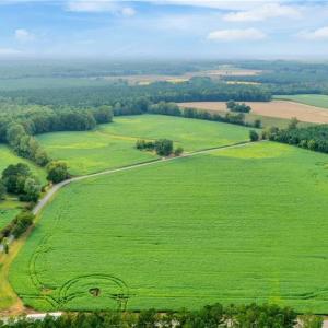 Photo #9 of 5+AC Ivor Road, Ivor, Virginia 5.9 acres