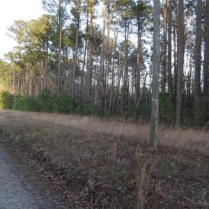 Photo #1 of 42 AC Strawberry Plaines, Ivor, Virginia 42.0 acres