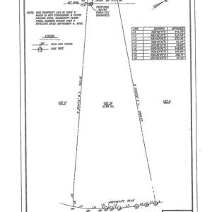 Photo #5 of 42 AC Strawberry Plaines, Ivor, Virginia 42.0 acres