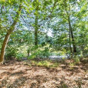 Photo #6 of 42 Scufflefield Road, Newport News, Virginia 2.1 acres