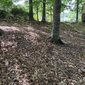 Photo #12 of 917 Lacon Drive, Newport News, Virginia 0.9 acres