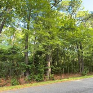 Photo #1 of Lot 31 Darden Street, Chesapeake, Virginia 0.7 acres