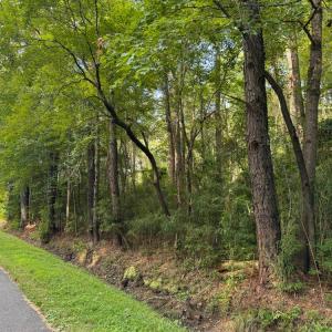 Photo #4 of Lot 31 Darden Street, Chesapeake, Virginia 0.7 acres