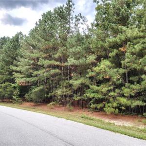 Photo #3 of 40 Stanley Court, Surry, Virginia 2.8 acres