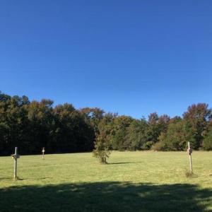 Photo #6 of 2.995 Plantation (Parcel B Ac) Road, Onancock, Virginia 3.0 acres
