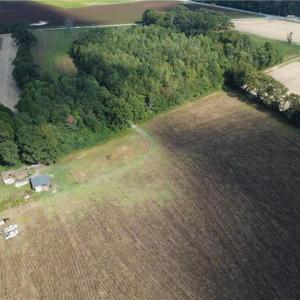 Photo #14 of 31242 Holly Run Drive, Carrsville, Virginia 22.7 acres