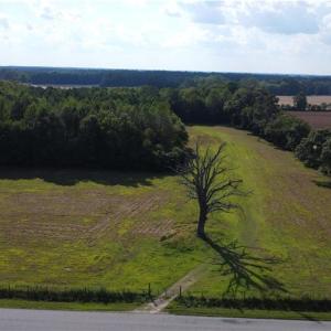 Photo #16 of 31242 Holly Run Drive, Carrsville, Virginia 22.7 acres