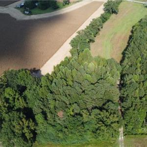 Photo #19 of 31242 Holly Run Drive, Carrsville, Virginia 22.7 acres