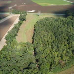 Photo #20 of 31242 Holly Run Drive, Carrsville, Virginia 22.7 acres