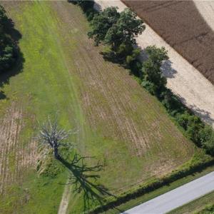 Photo #5 of 31242 Holly Run Drive, Carrsville, Virginia 22.7 acres