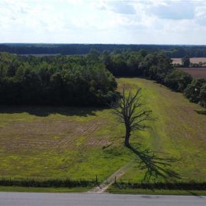 Photo #7 of 31242 Holly Run Drive, Carrsville, Virginia 22.7 acres