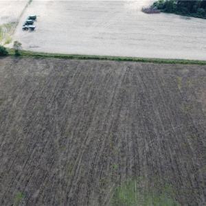 Photo #10 of 31242 Holly Run Drive, Carrsville, Virginia 22.7 acres