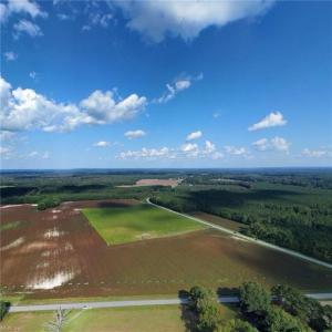 Photo #2 of 31242 Holly Run Drive, Carrsville, Virginia 22.7 acres