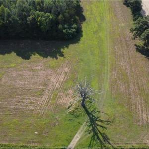 Photo #12 of 31242 Holly Run Drive, Carrsville, Virginia 22.7 acres