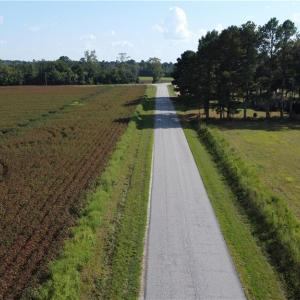 Photo #13 of 31242 Holly Run Drive, Carrsville, Virginia 22.7 acres