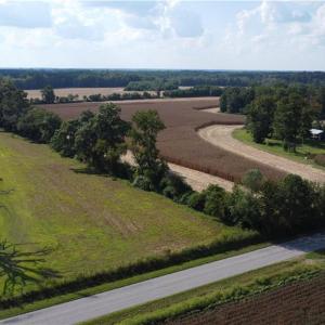 Photo #3 of 31242 Holly Run Drive, Carrsville, Virginia 22.7 acres