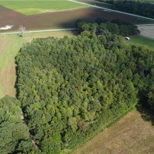 Photo #21 of 31242 Holly Run Drive, Carrsville, Virginia 22.7 acres