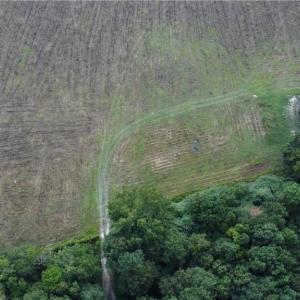 Photo #6 of 31242 Holly Run Drive, Carrsville, Virginia 22.7 acres