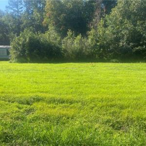 Photo #1 of .26+AC Lummis Road, Suffolk, Virginia 0.4 acres