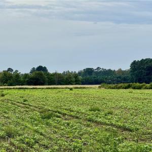 Photo #3 of 2025 Pungo Ridge Court, Virginia Beach, Virginia 9.0 acres