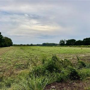 Photo #4 of 2025 Pungo Ridge Court, Virginia Beach, Virginia 9.0 acres