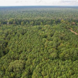 Photo #13 of 2.5ac George Washington Highway, Chesapeake, Virginia 2.5 acres