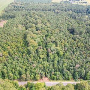 Photo #18 of 2.5ac George Washington Highway, Chesapeake, Virginia 2.5 acres