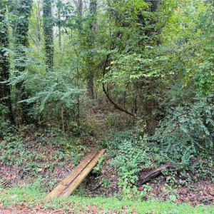 Photo #20 of 2.5ac George Washington Highway, Chesapeake, Virginia 2.5 acres