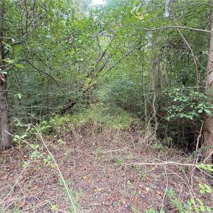 Photo #30 of 2.5ac George Washington Highway, Chesapeake, Virginia 2.5 acres