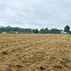 Zoned A1 – perfect for a forever home, farm, or more.