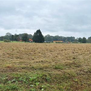 Rare cleared acreage in a sought-after James City County location.
