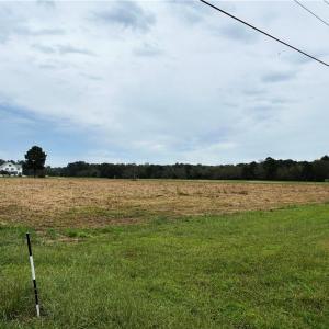 Beautifully maintained, open acreage offering privacy and space to create your vision.