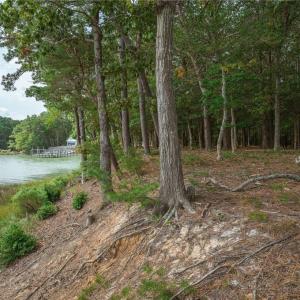 Photo #4 of 20AC Shooting Point Drive, Machipongo, Virginia 20.0 acres