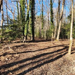 Photo #28 of 11.8AC Faison Road, Wakefield, Virginia 11.8 acres