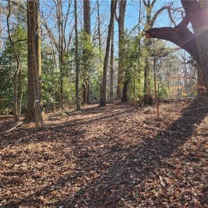 Photo #29 of 11.8AC Faison Road, Wakefield, Virginia 11.8 acres