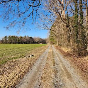 Photo #30 of 11.8AC Faison Road, Wakefield, Virginia 11.8 acres