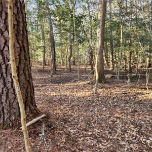 Photo #31 of 11.8AC Faison Road, Wakefield, Virginia 11.8 acres