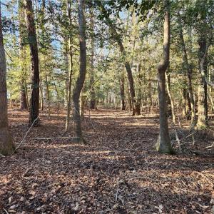 Photo #32 of 11.8AC Faison Road, Wakefield, Virginia 11.8 acres