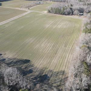 Photo #38 of 11.8AC Faison Road, Wakefield, Virginia 11.8 acres
