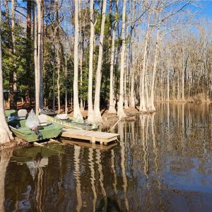 Photo #6 of 11.8AC Faison Road, Wakefield, Virginia 11.8 acres