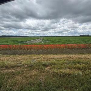 Photo #2 of 737 Bedford Street, Chesapeake, Virginia 3.8 acres