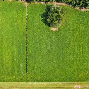 Photo #8 of 4908-A Ballahack Road, Chesapeake, Virginia 3.4 acres