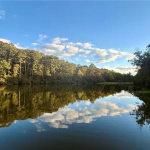 Photo #2 of 5.1+AC Lynn Lake Court, Barhamsville, Virginia 7.3 acres