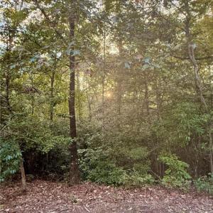 Photo #11 of 5.1+AC Lynn Lake Court, Barhamsville, Virginia 7.3 acres
