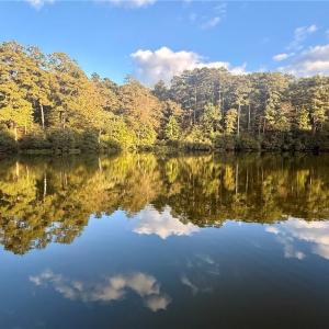 Photo #3 of 5.1+AC Lynn Lake Court, Barhamsville, Virginia 7.3 acres