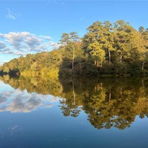 Photo #4 of 5.1+AC Lynn Lake Court, Barhamsville, Virginia 7.3 acres