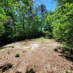 Photo #5 of 5.1+AC Lynn Lake Court, Barhamsville, Virginia 7.3 acres